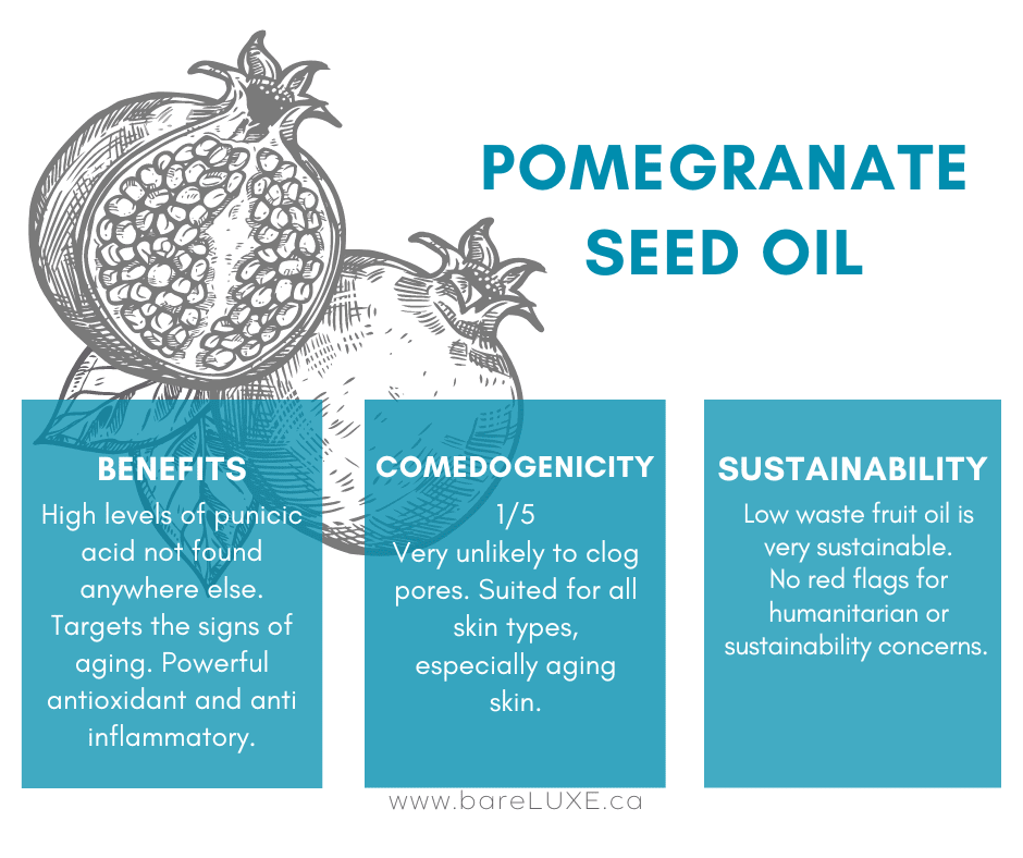 pomegranate oil for face - infographic by bareLUXE Skincare