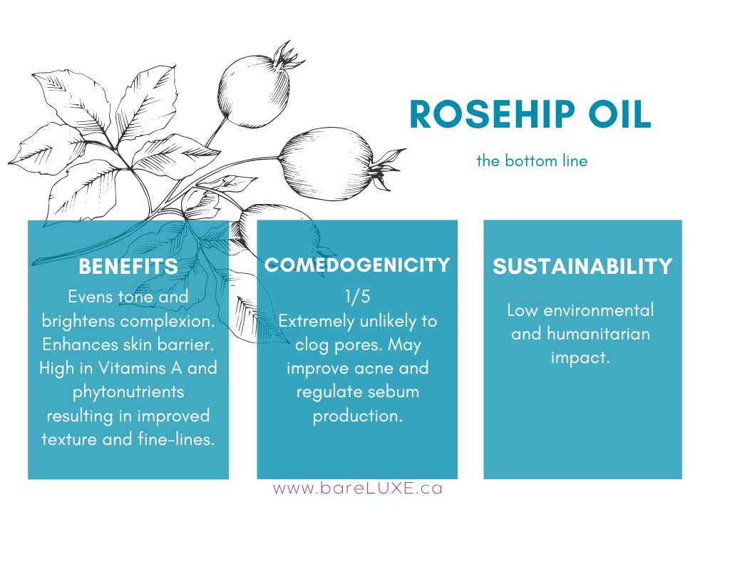 rosehip face oil - infographic by bareLUXE Skincare