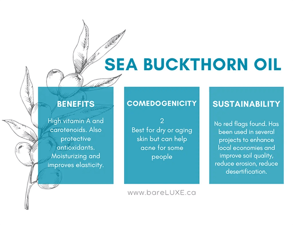 Sea buckthorn oil skin benefits - infographic by bareLUXE Skincare