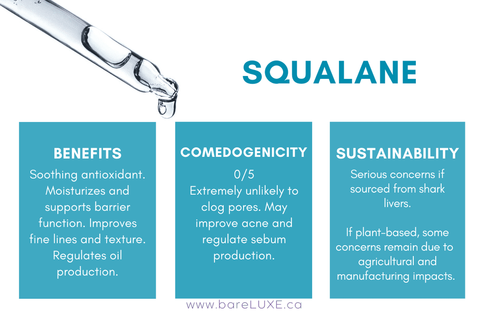 Squalane for skin - infographic by bareLUXE Skincare