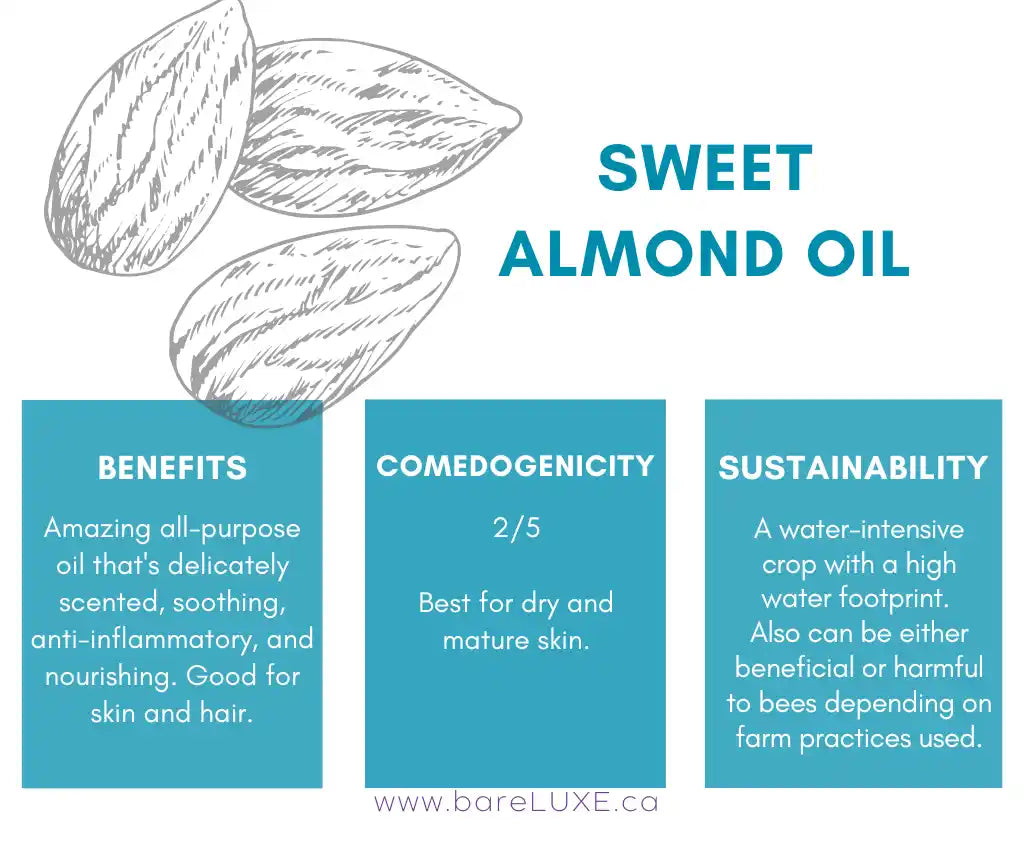 Almond oil for skin - infographic by bareLUXE Skincare