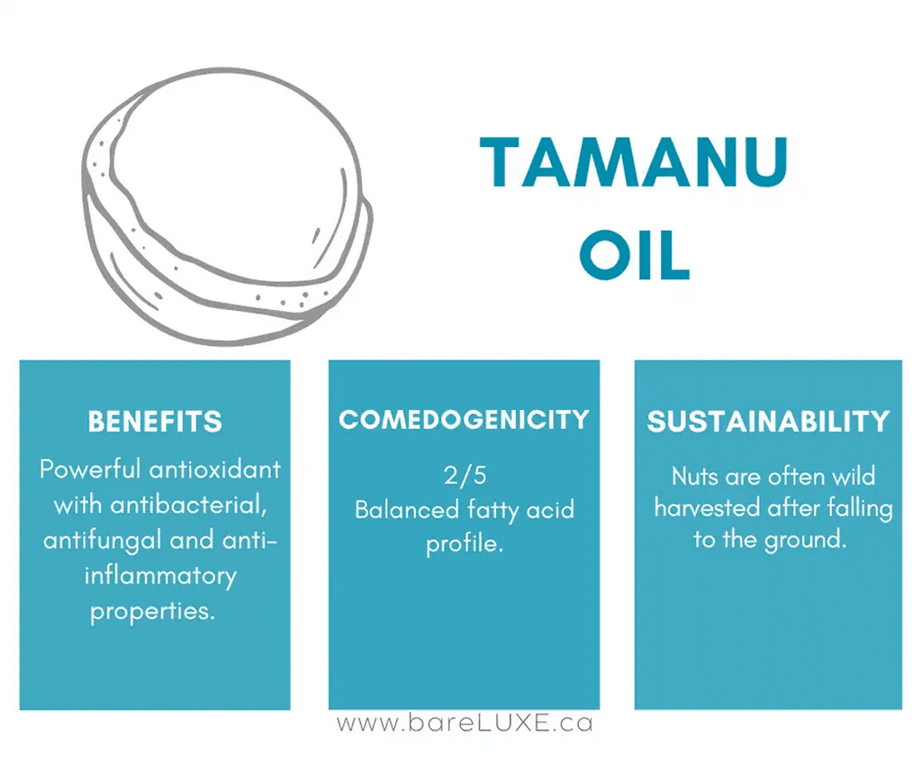 Tamanu Oil for skin - infographic by bareLUXE Skincare
