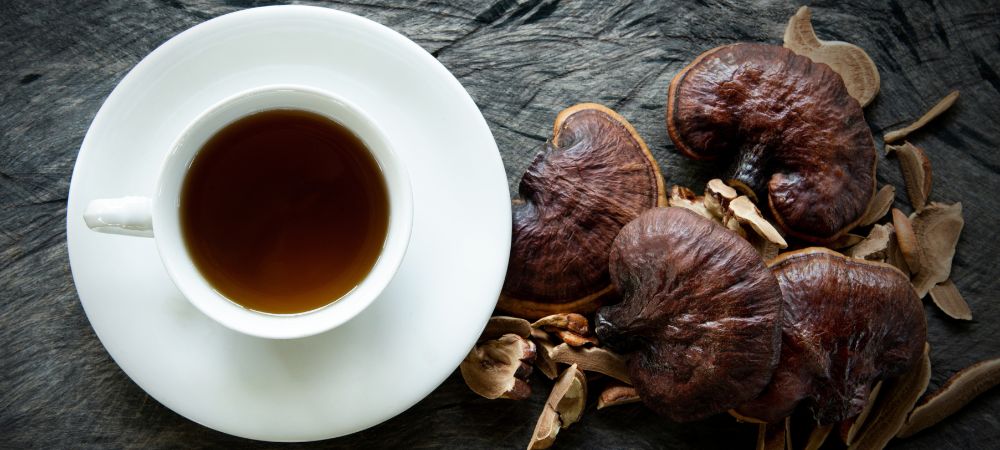 Benefits of Reishi Mushroom Tea