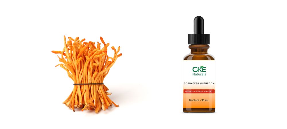 Cordyceps_ Nature's Stamina Booster