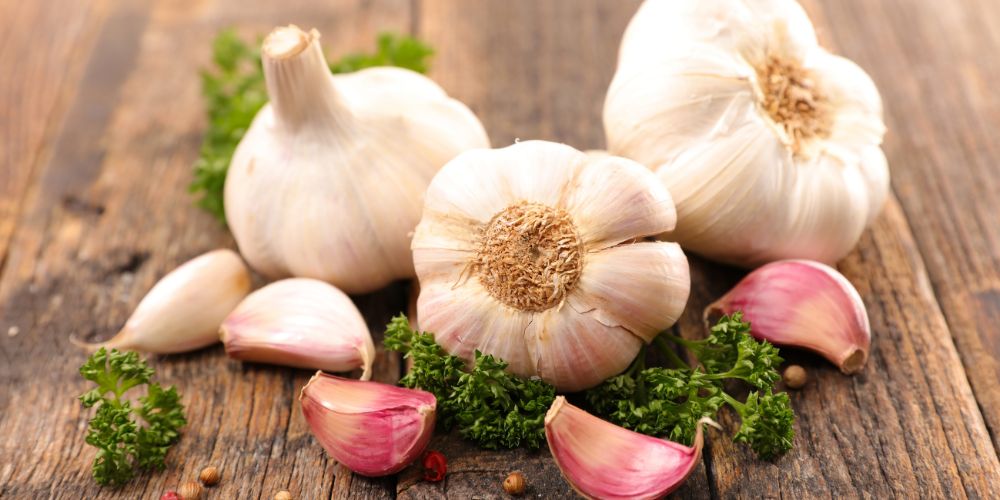 Garlic - Heart-Healthy Herb