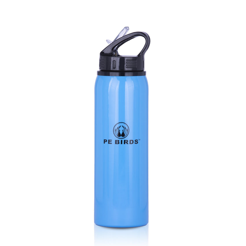 PE BIRDS Stainless Steel Achiver BPA FREE Water Bottle – pebirds-peacocks