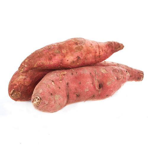 Jamaican Yellow Yam $4/Lb – SUMMERPEG