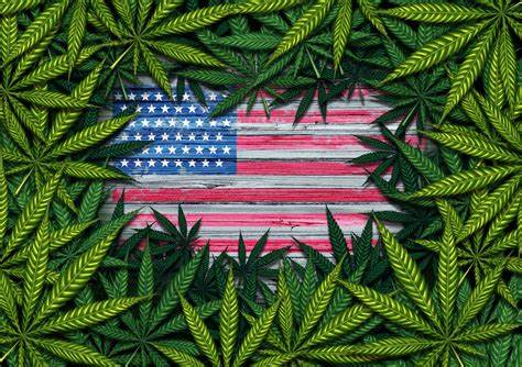 industrie Cannabis USA