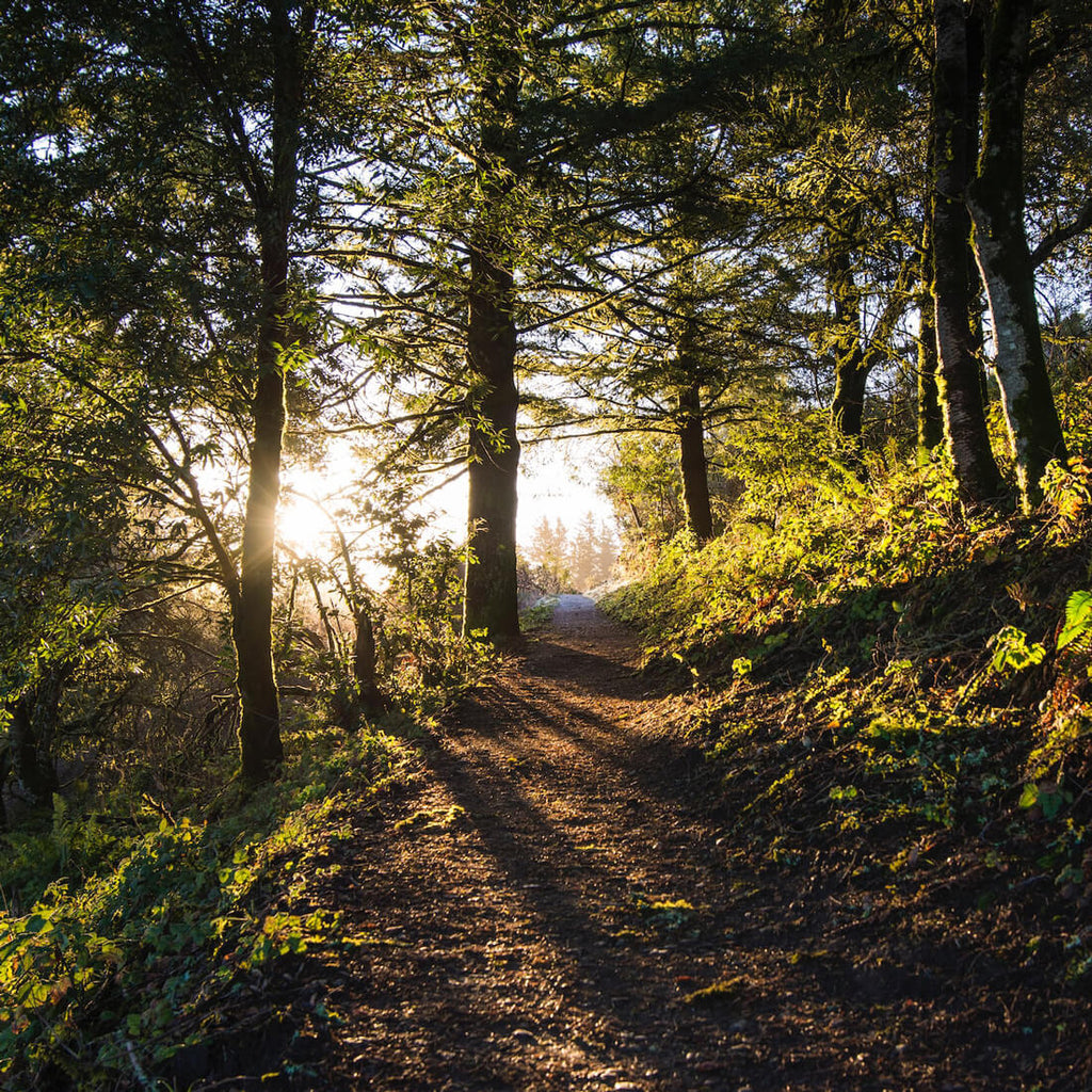 walking in nature