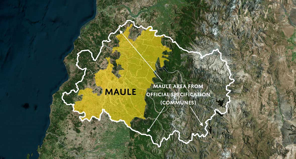 Maule Wine Region