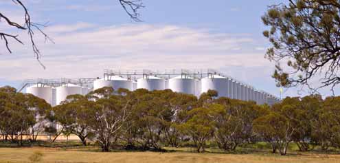 Australian Wine Tanks