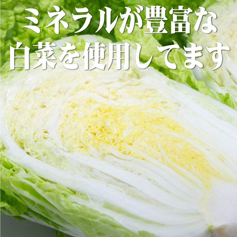 【白菜餃子】龍泉日日餃子★もちもち冷凍水餃子 600g