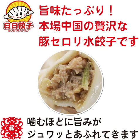 【豚肉&セロリ水餃子】龍泉日日餃子★もちもち冷凍水餃子 600g