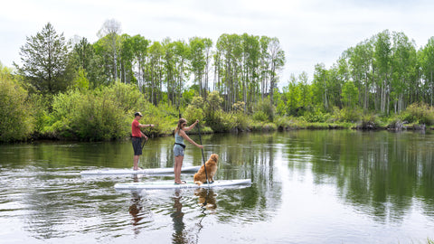 Paddling on stand on liquid wander and quest stand up paddleboards