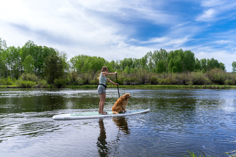 Dog and paddler on stand on liquid wander stand up paddleboard