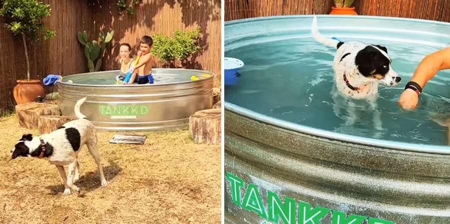 La cantante Gisela de OT, su sobrino y sus perros disfrutan de la piscina de acero prefabricada Pool&Tina