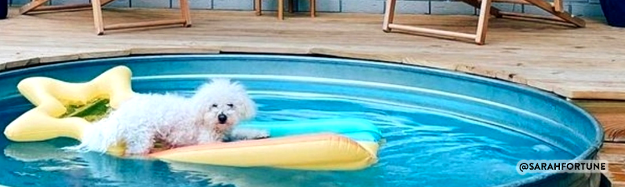 PISCINA ESPECIAL PARA PERROS, VARIAS MEDIDAS