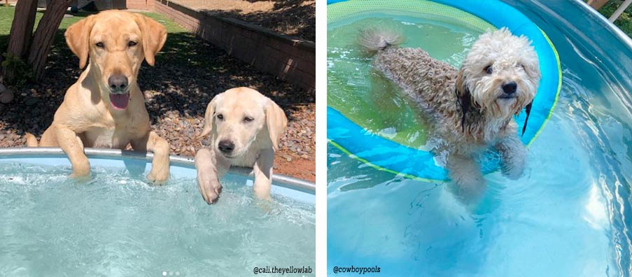 Piscina para perros de acero galvanizado