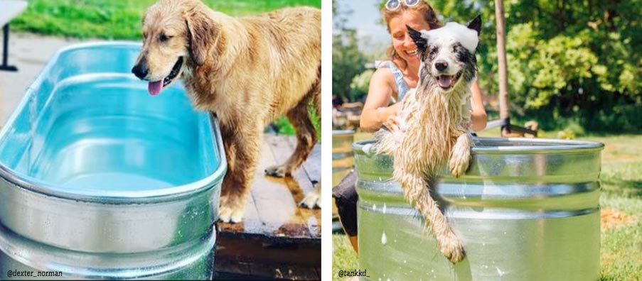 Bañeras y piscinas para perros y para mascotas