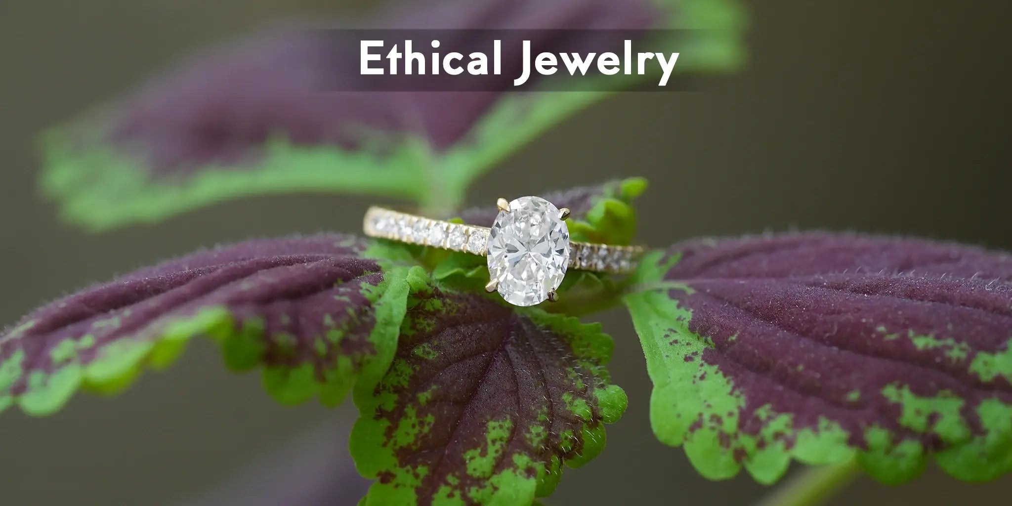 Ethical oval diamond ring jewelry appearance