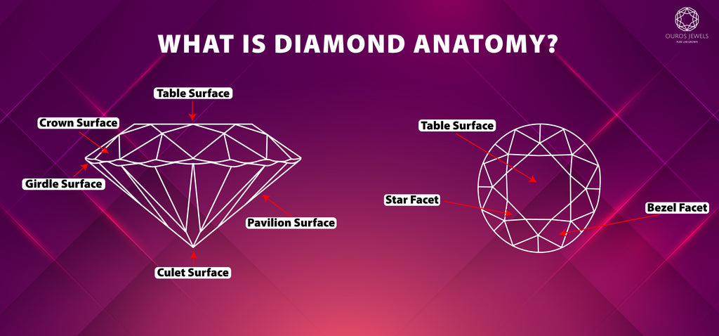Diamonds Anatomy Definition