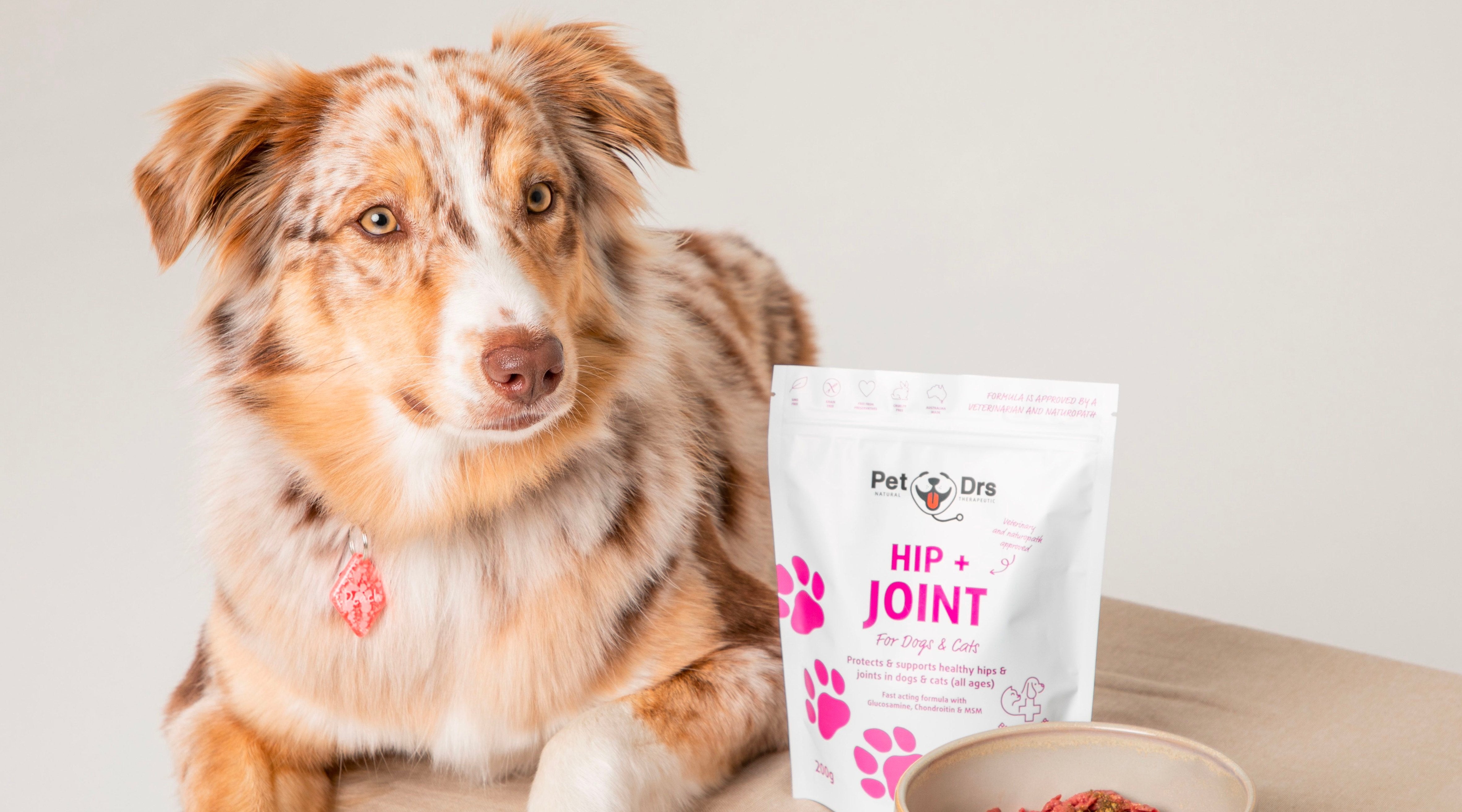 how do you prevent joint problems in dogs