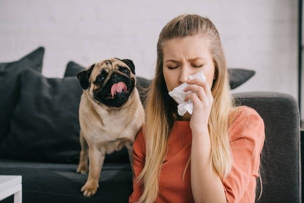 what dog breeds are good for people with allergies