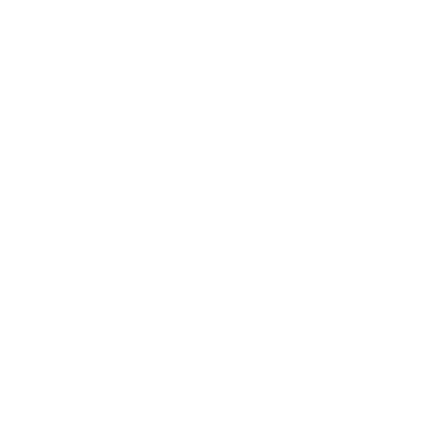 The Bedside Holster