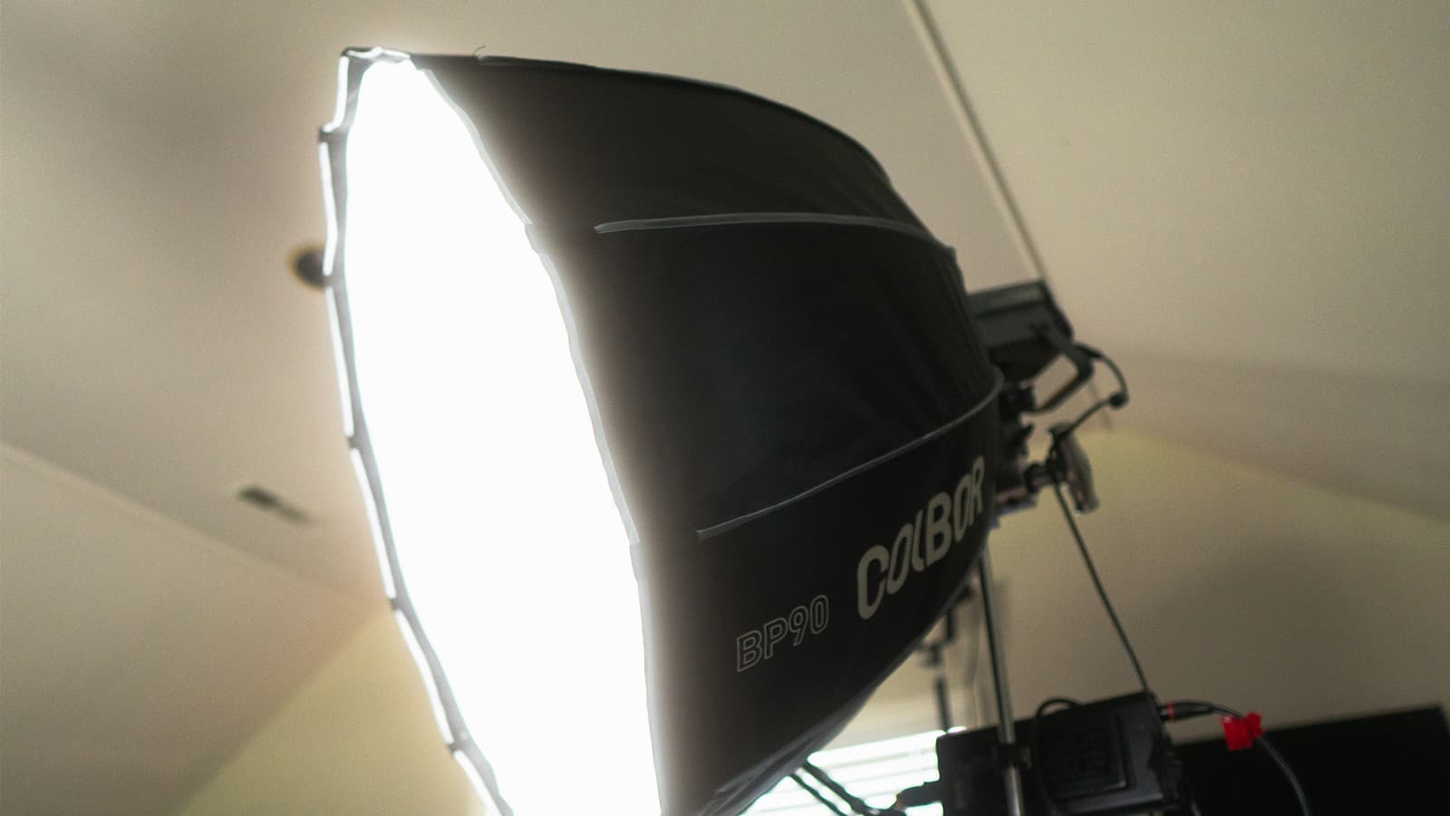 COLBOR CL220 is used with a softbox to create soft side lighting for photography.