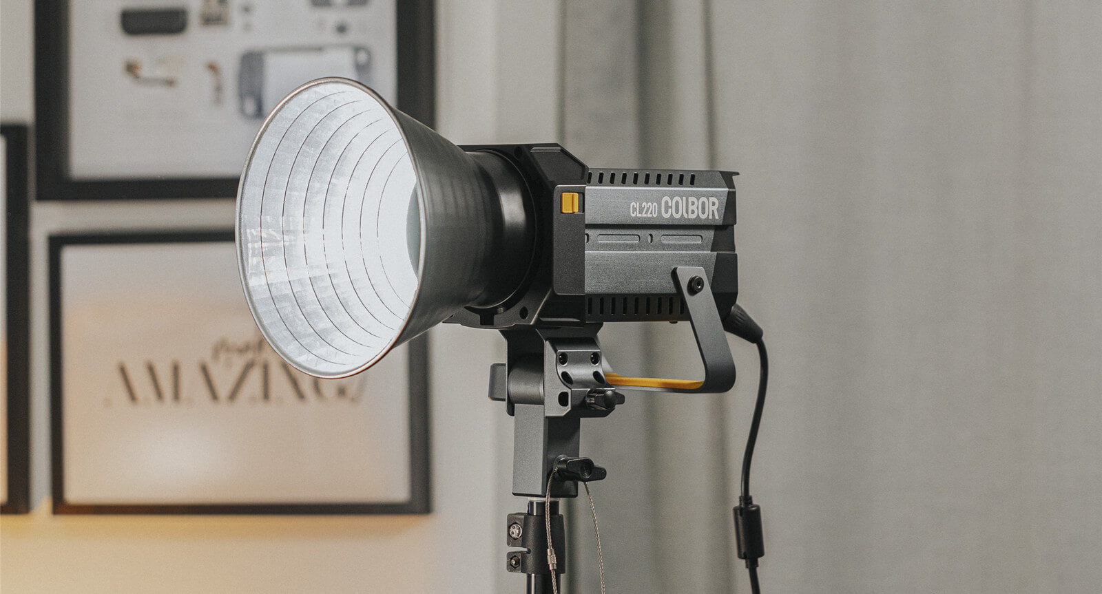 COLBOR CL220 LED light for food photography is mounted on the light stand and used with a reflector.