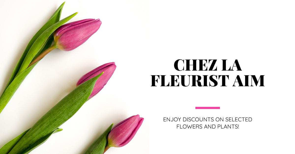 パリの街角の小さな素敵な花屋「Chez la fleuriste aim」