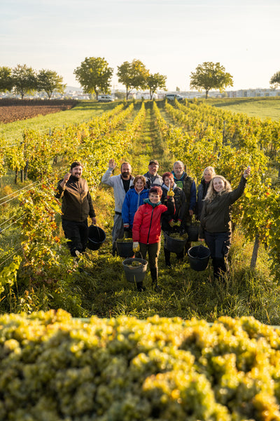 biowein-gerechtigkeit