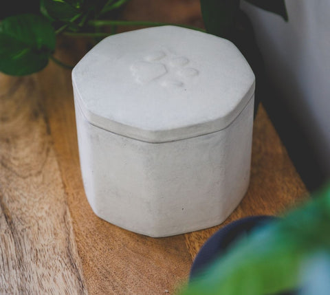 urne chat blanc concrete memory mimipots