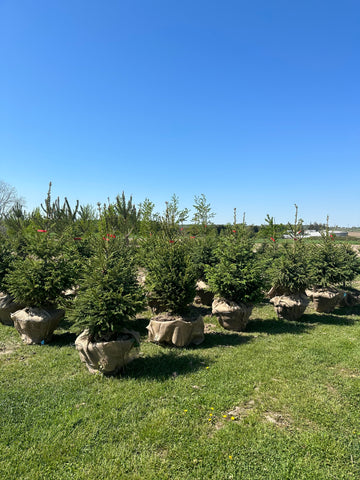 landscaper or garden centre in Ontario