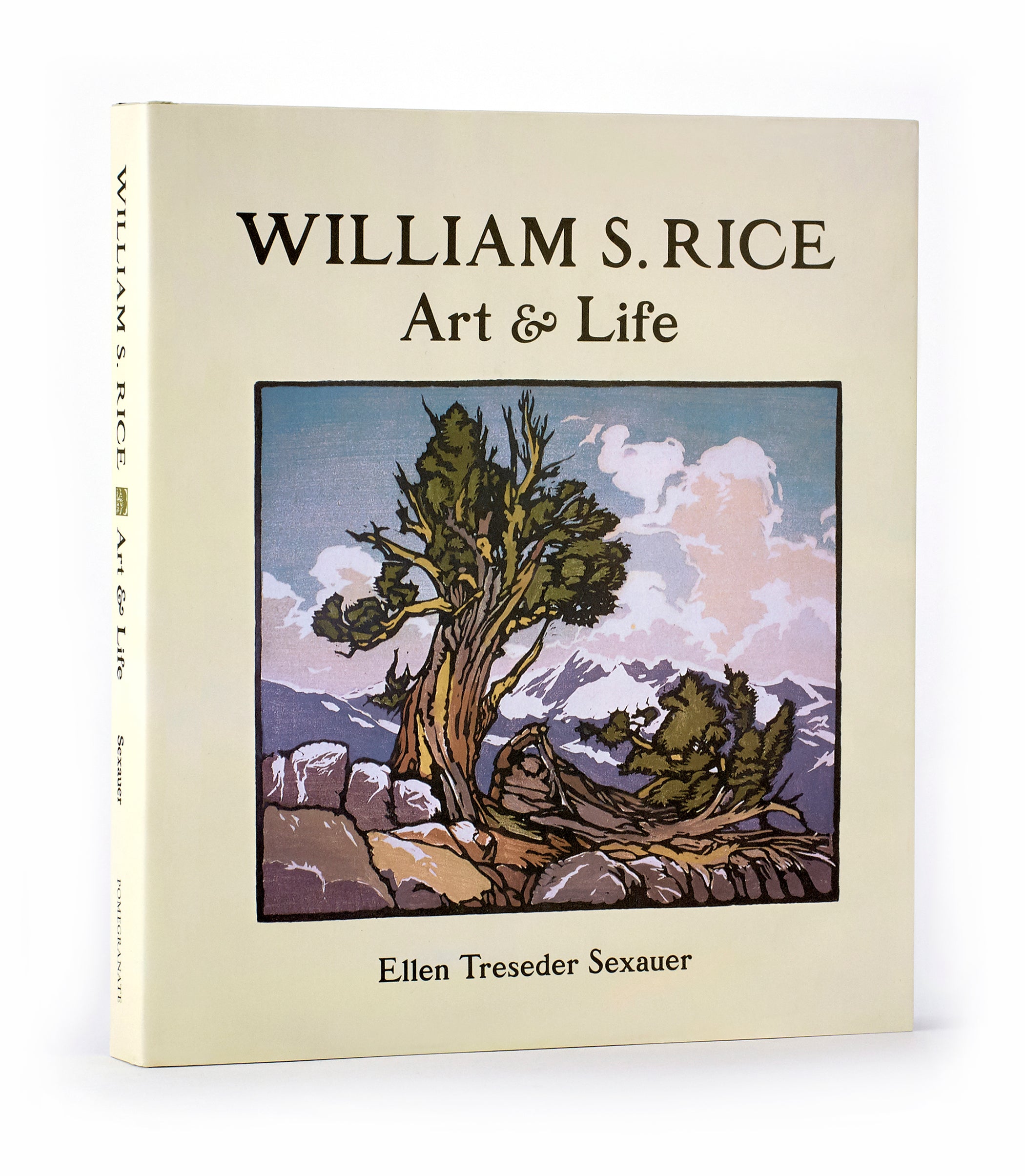 William S. Rice Art & Life — Pomegranate