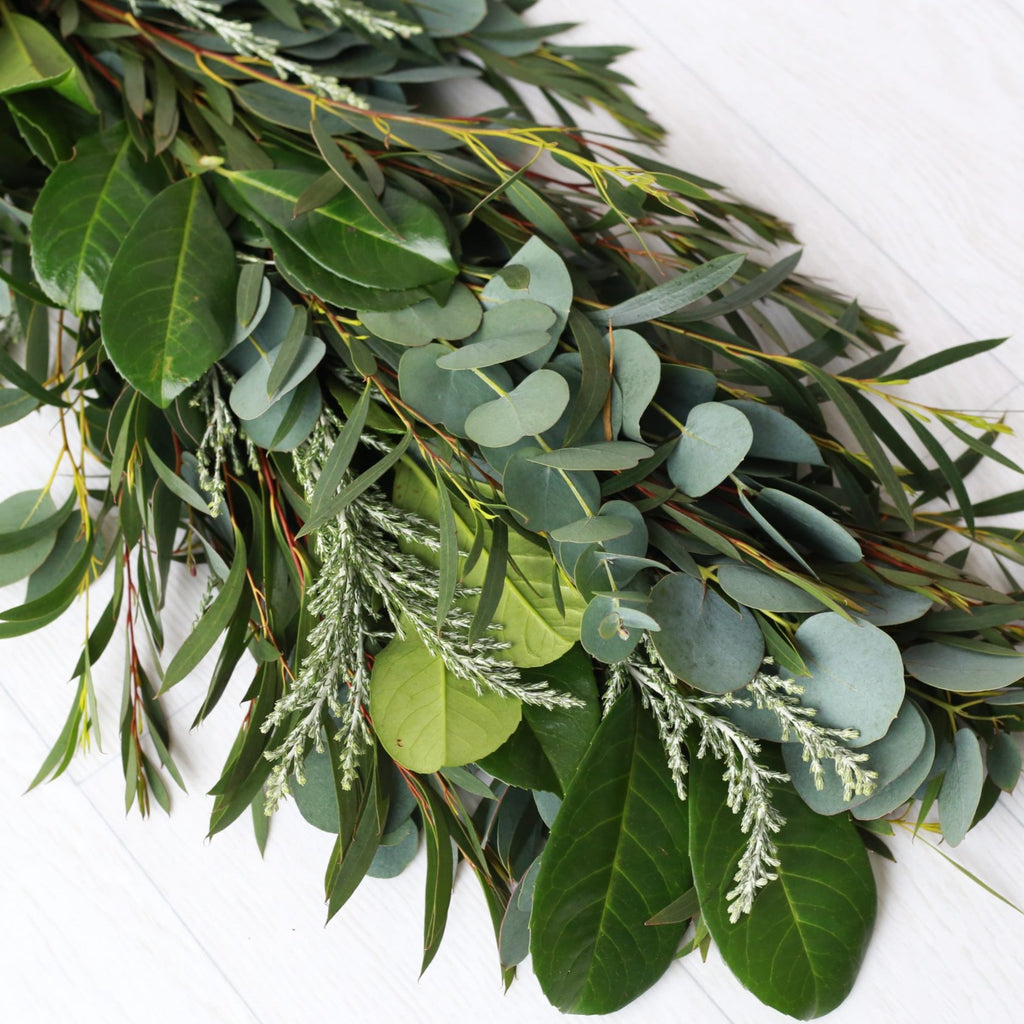 Parvifolia Eucalyptus – The Garland Guy