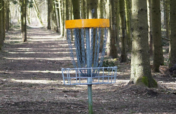 Disc golf kurv