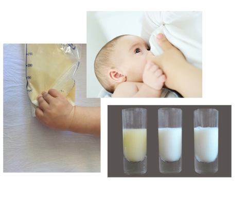 Lactancia materna, mitos y verdades, tipos de leche materna 