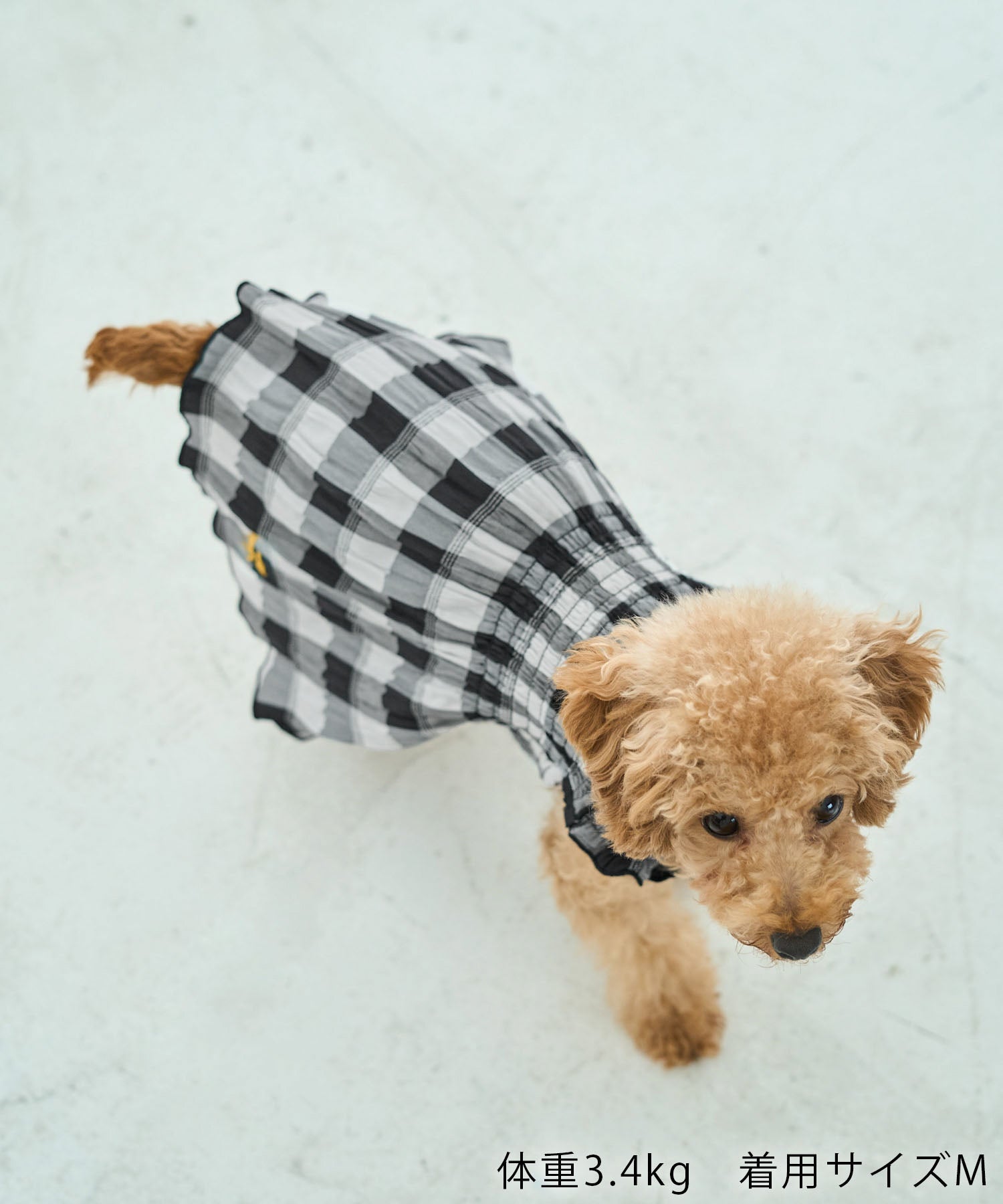 DOG】ギンガムチェック柄ワンピース ｜ ROPE' PICNIC ロペピクニック オフィシャルサイト