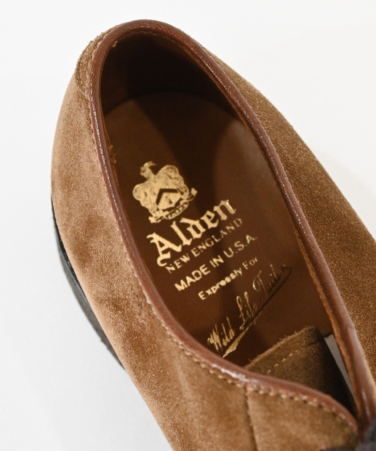 ALDEN for WILD LIFE TAILOR】PLAIN TOE SUEDE ｜ ADAM ET ROPE