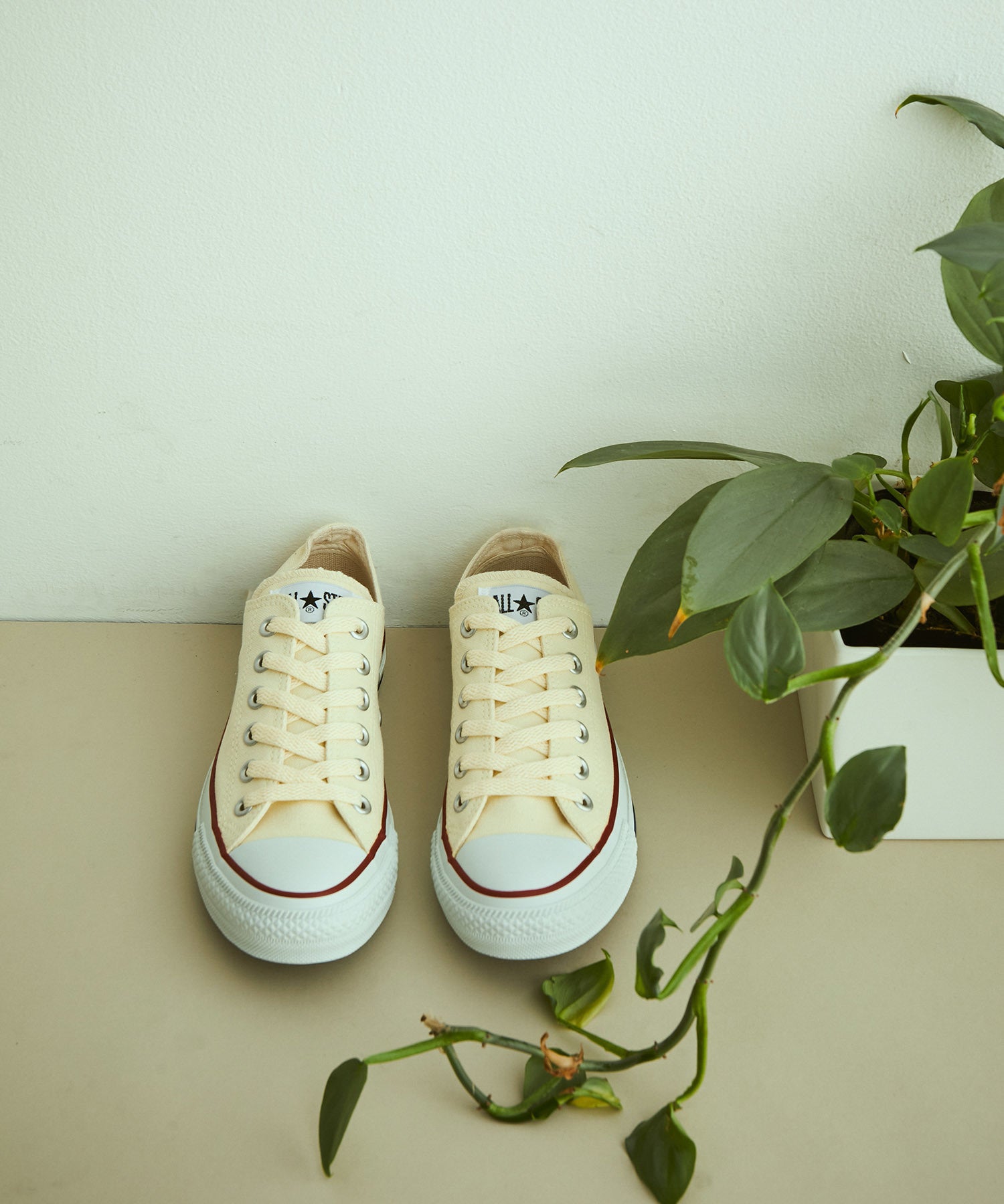 converse all star online