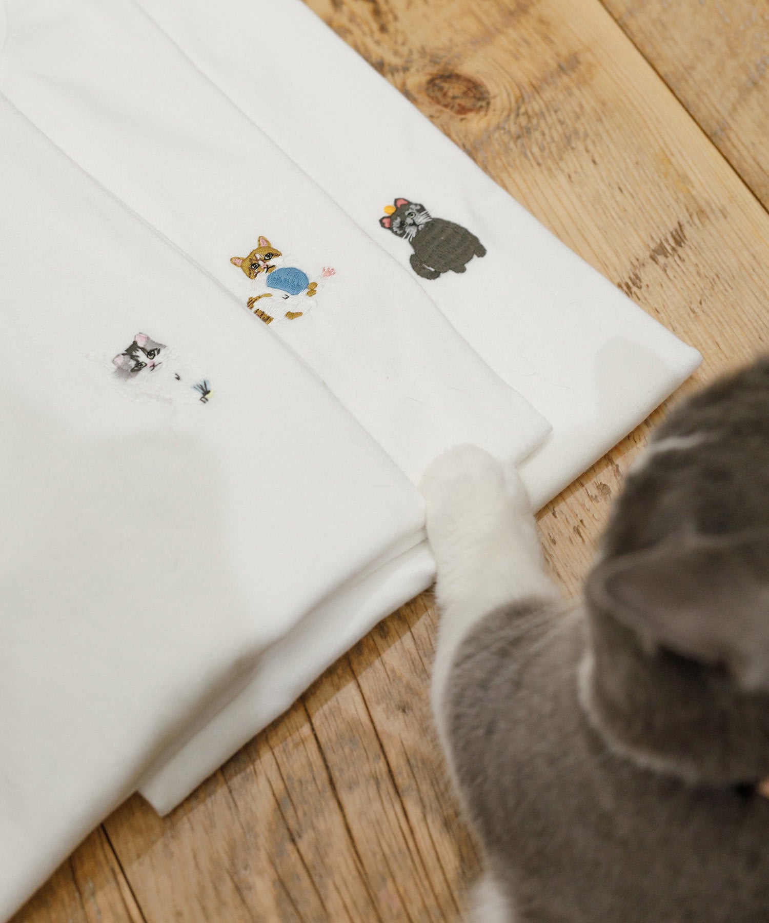 猫刺繍tシャツ Adam Et Rope アダムエロペ 公式サイト