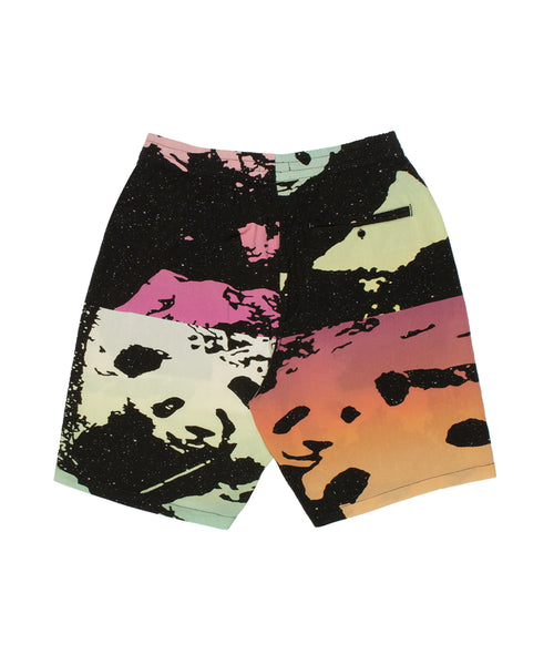 bonjour records / Richardson Rob Pruitt Aloha Shorts (パンツ