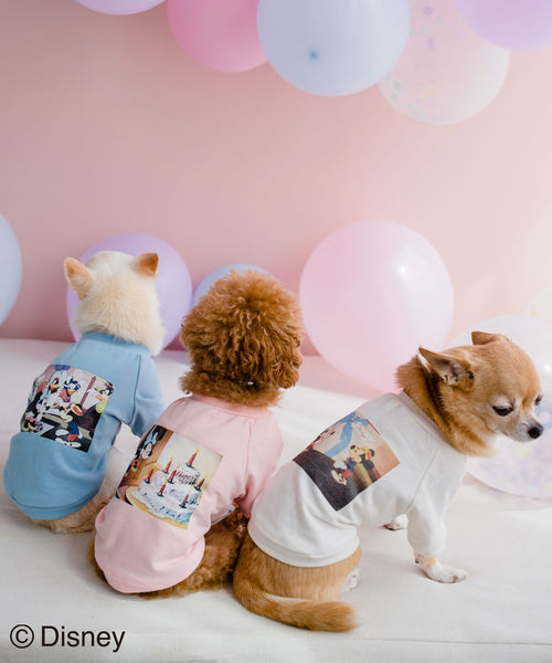 Rope Picnic Dog Disney ディズニー バースデイーフォトtシャツ 雑貨 ホビー スポーツ ペットグッズ 通販 J Adore Jun Online