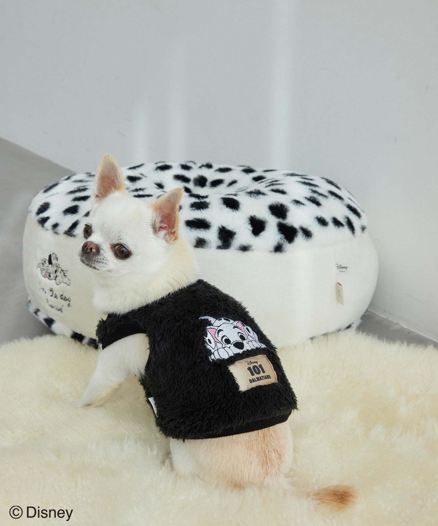 101 Dalmatians Limited Item | J'aDoRe JUN ONLINE（ジャドール