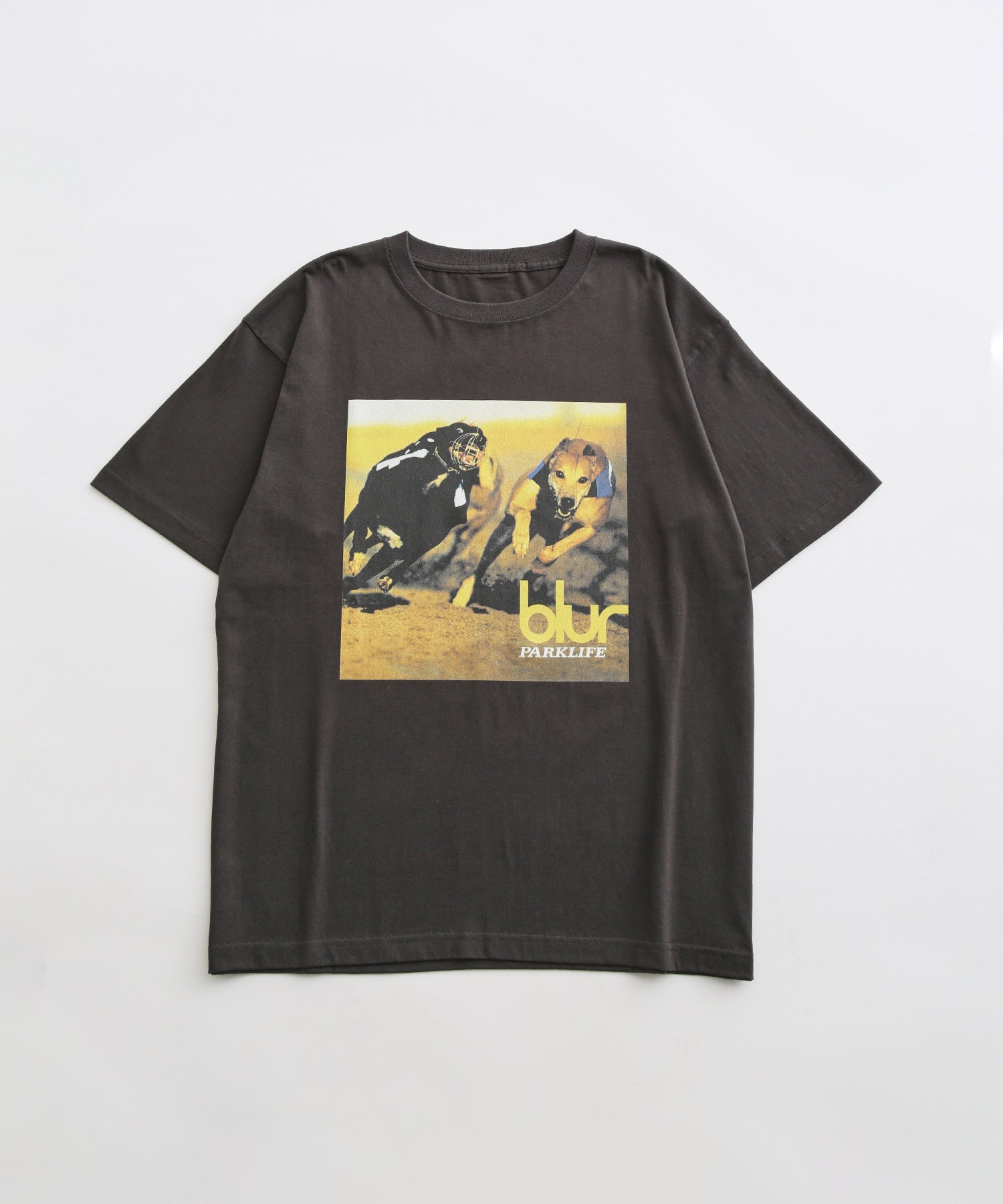 今回SUMME【blur×BIOTOP×10CULTURE】Blur T-SHIRTS