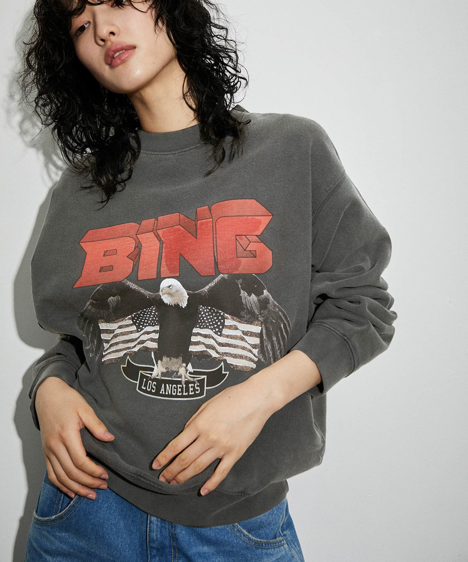 ANINE BING VINTAGE BING SWEATSHIRT ADAM ET ROPE