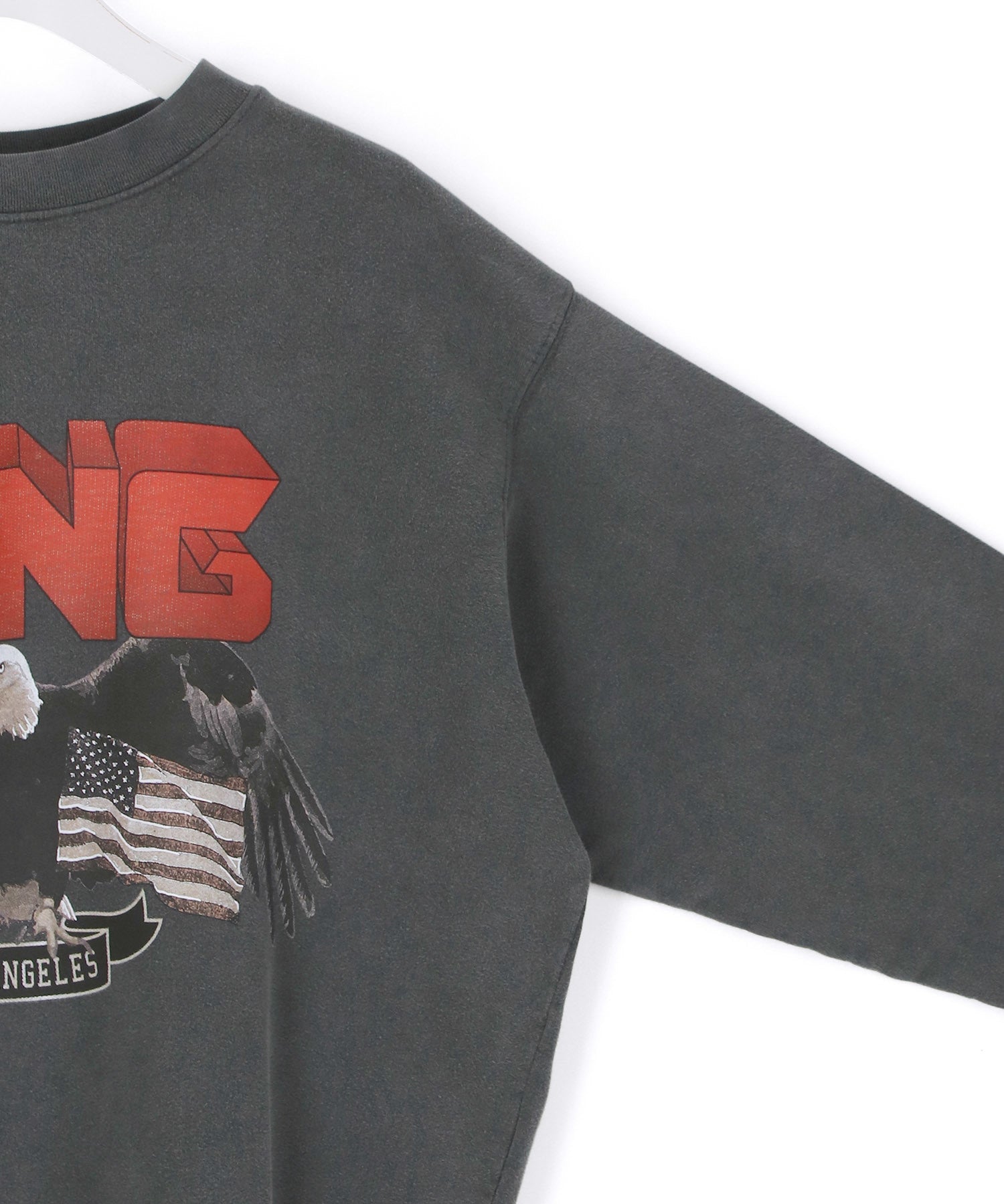 ANINE BING】VINTAGE BING SWEATSHIRT ｜ ADAM ET ROPE 