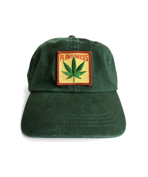 bonjour records / IDEA PLANT SEEDS Cap (帽子 / キャップ) 通販｜J