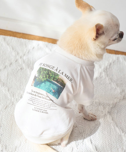 ROPÉ PICNIC / 【DOG】リンクコーデ/photo&logo Tシャツ (雑貨/ホビー ...